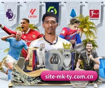 MK体育体育官网 APP - MKSports